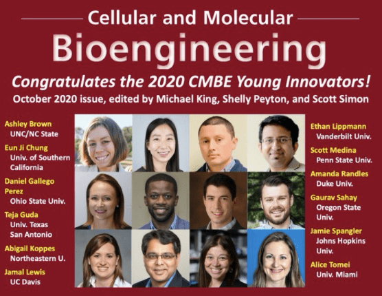 cellular and molecular bioengineering